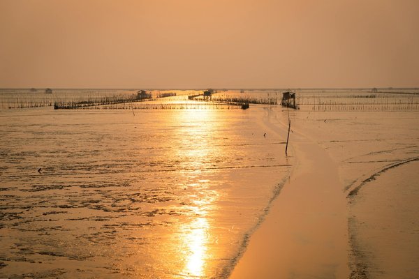 Croisière de luxe dans les fjords : Que faut-il attendre?